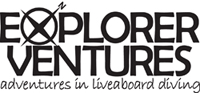 logoONLYblue